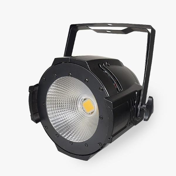 COB_100W_02