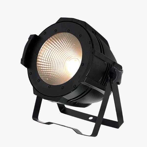 COB_100W_03
